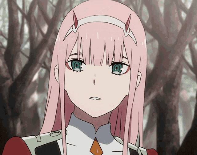 Sequence of images from the anime zerotwo